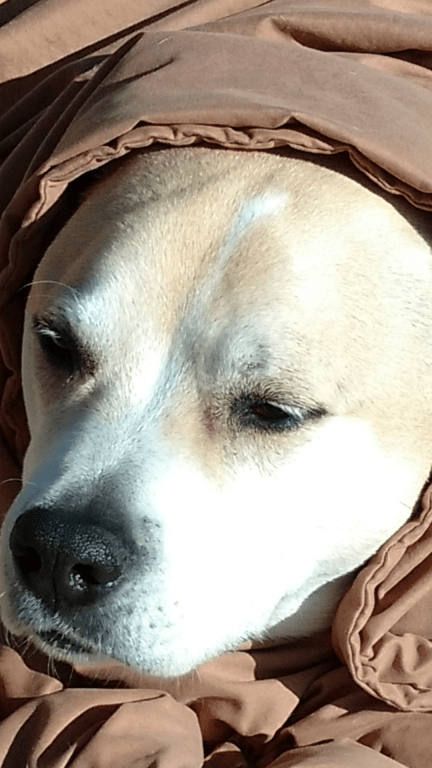 Screenshot_20180226-224748