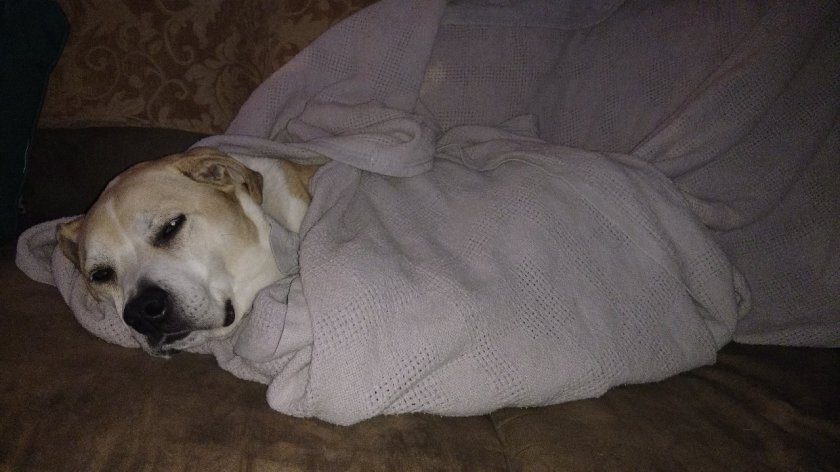 IMG_20181223_215344532