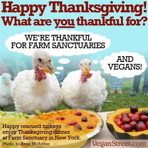 happy thanksgiving 3