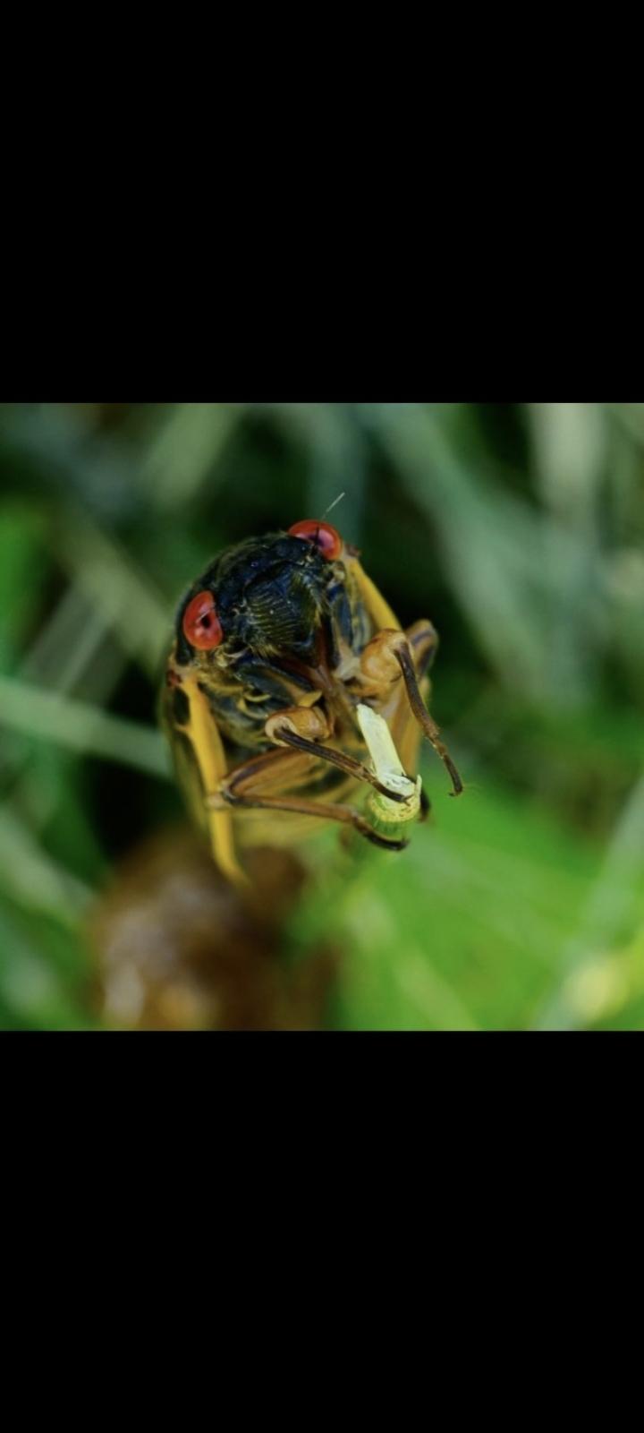 screenshot_20240605_100020_photos